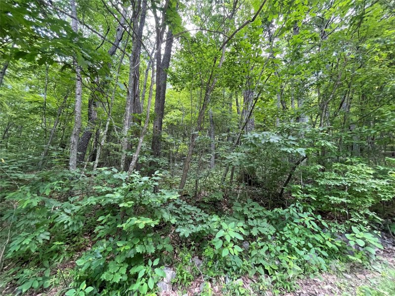 Property image 3 at 0000 Lytle Cove Road, Swannanoa, NC 28778
