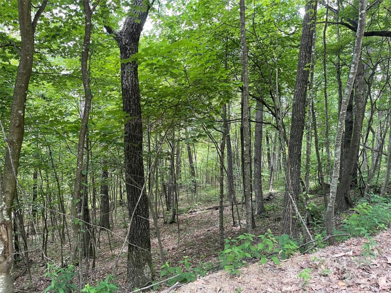 Property image 4 at 0000 Lytle Cove Road, Swannanoa, NC 28778