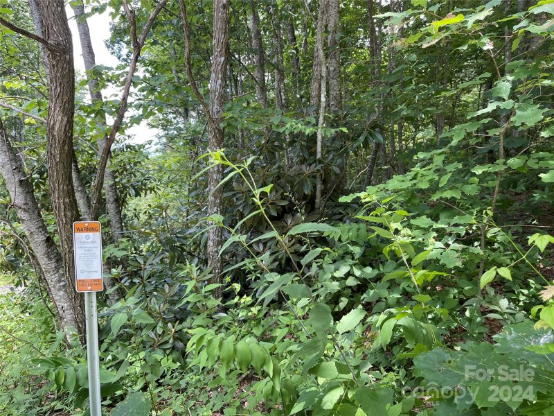 Property image 5 at 0000 Lytle Cove Road, Swannanoa, NC 28778