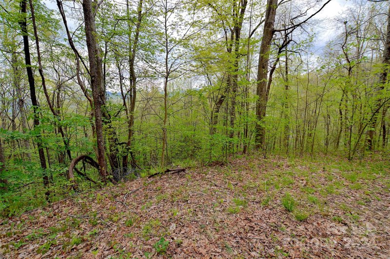Property image 3 at 1587 Eagles Nest Road, Waynesville, NC 28786