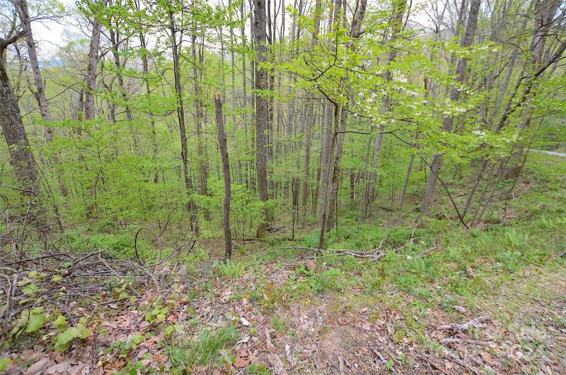 Property image 5 at 1587 Eagles Nest Road, Waynesville, NC 28786