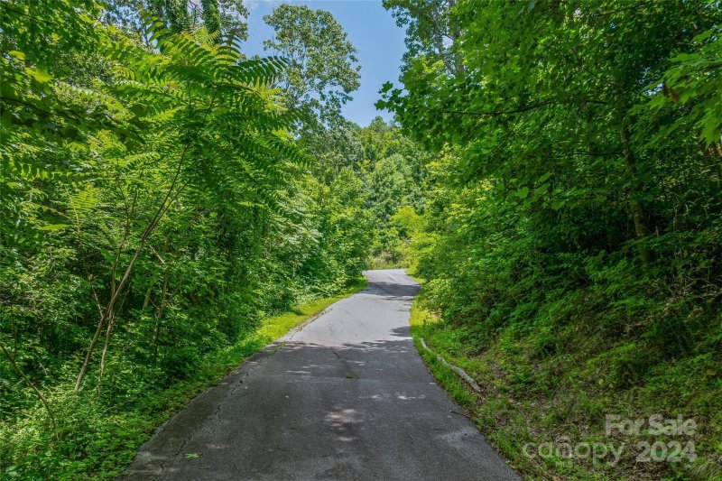 Property image 4 of Tbd Kestrel Lane in Creston, Black Mountain, NC 28711