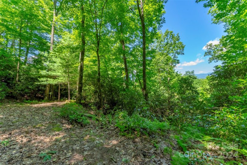 Property image 2 at Lot 626 Lost Mine Trail, Brevard, NC 28712