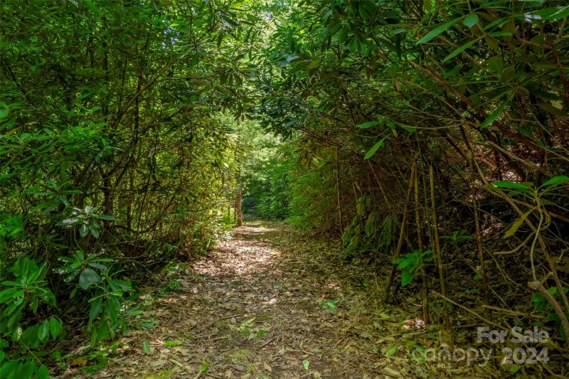 Property image 5 at Lot 626 Lost Mine Trail, Brevard, NC 28712