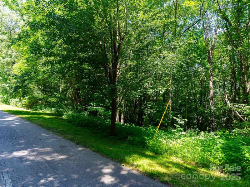 Property image 3 of 0 Presidential Drive in Crestview Pointe, Waynesville, NC 28786