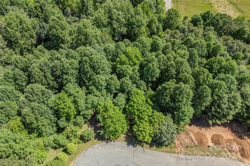 Property image 4 at Lot 31 Dover Lane, Brevard, NC 28712