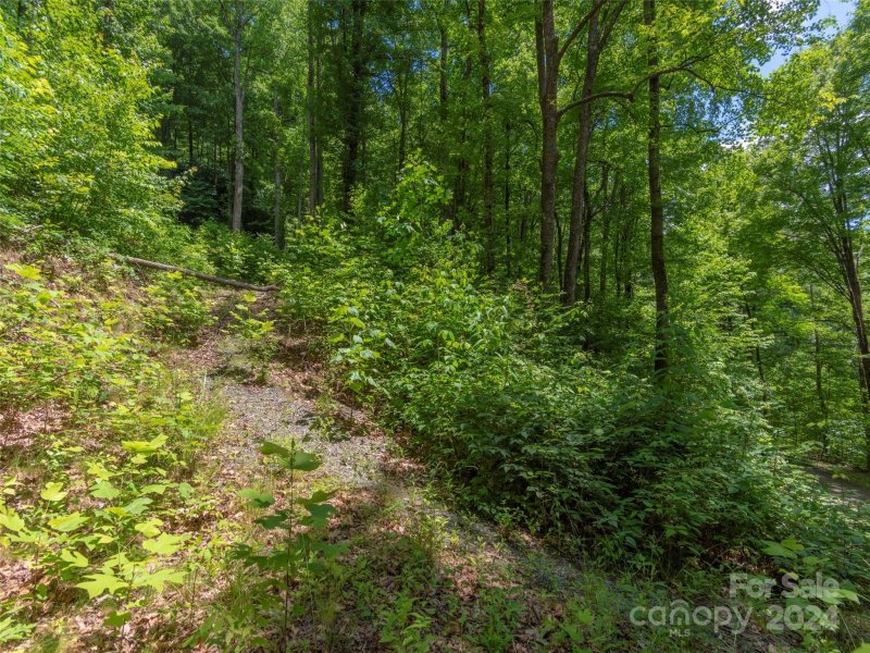 Property image 2 at 30 Hudson Valley Drive, Waynesville, NC 28786