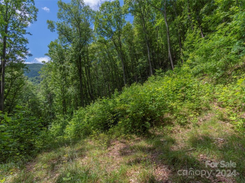 Property image 3 at 30 Hudson Valley Drive, Waynesville, NC 28786