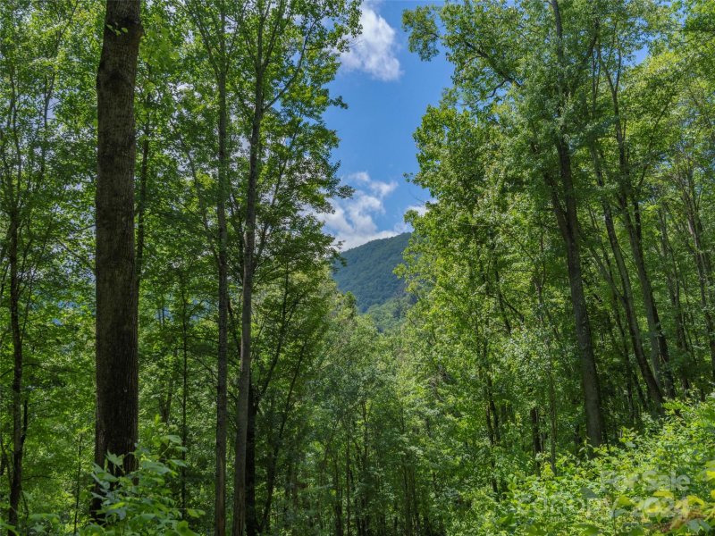 Property image 4 at 30 Hudson Valley Drive, Waynesville, NC 28786