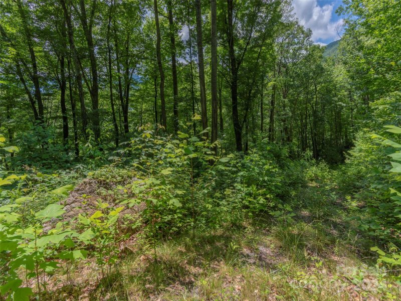 Property image 5 at 30 Hudson Valley Drive, Waynesville, NC 28786