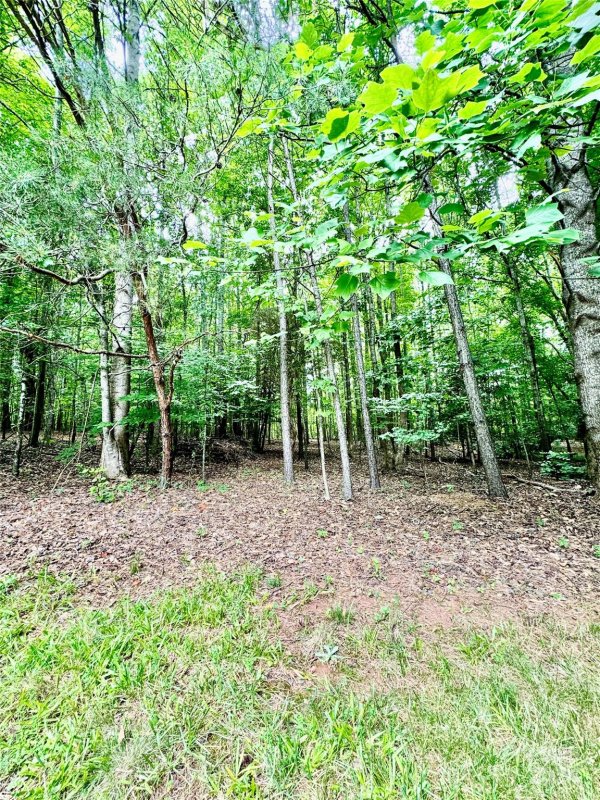 Property image 3 at 140 Conifer Way, Shelby, NC 28150