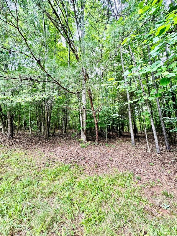 Property image 4 at 140 Conifer Way, Shelby, NC 28150