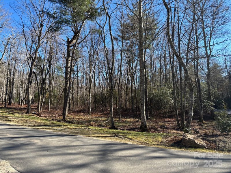 Lot W25 Tioga Trail