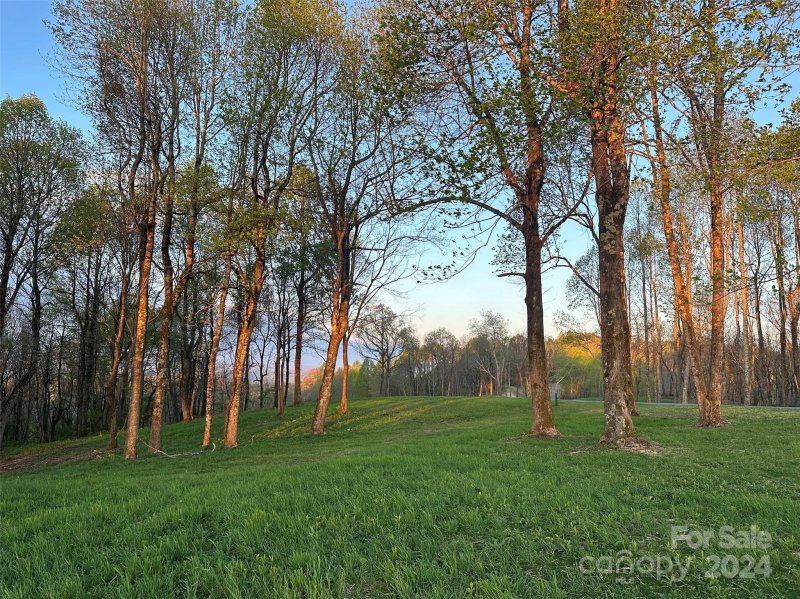 Property image 2 at 0000 West Garden Trail, Hendersonville, NC 28792