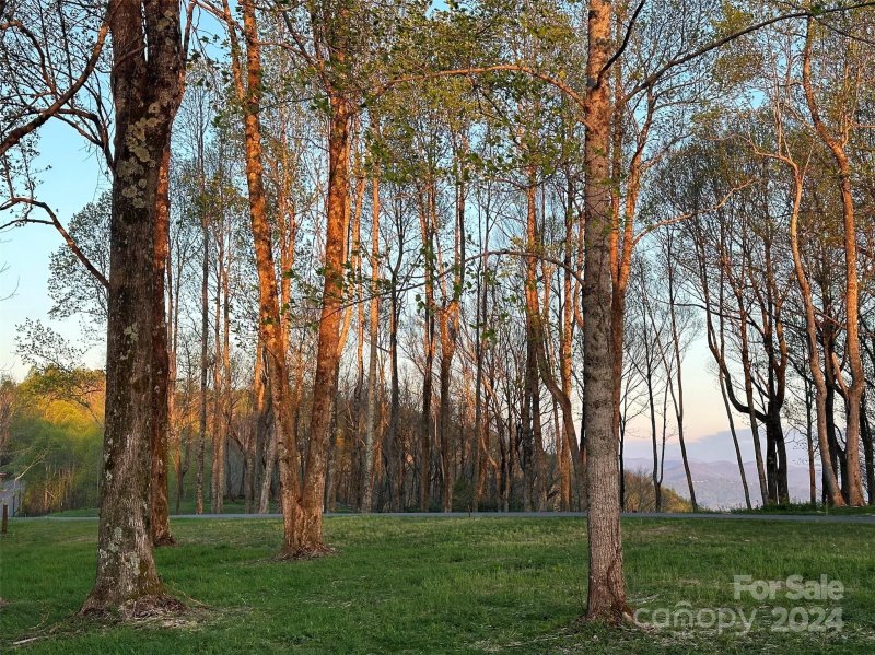 Property image 4 at 0000 West Garden Trail, Hendersonville, NC 28792