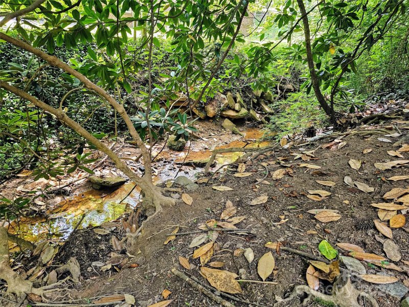 Property image 3 of 218 Davis Drive in Mountainbrook, Morganton, NC 28655