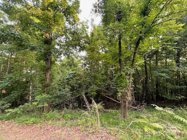 Property image 2 of 00 Azule Drive in South Mountain Peaks, Bostic, NC 28018