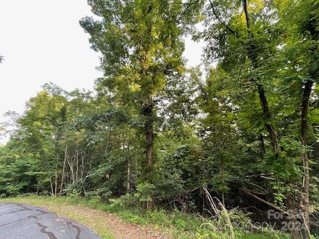 Property image 5 of 00 Azule Drive in South Mountain Peaks, Bostic, NC 28018