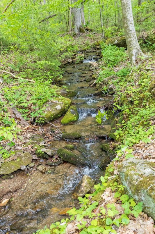 Property image 4 at 475 Moonlight Drive, Bryson City, NC 28713