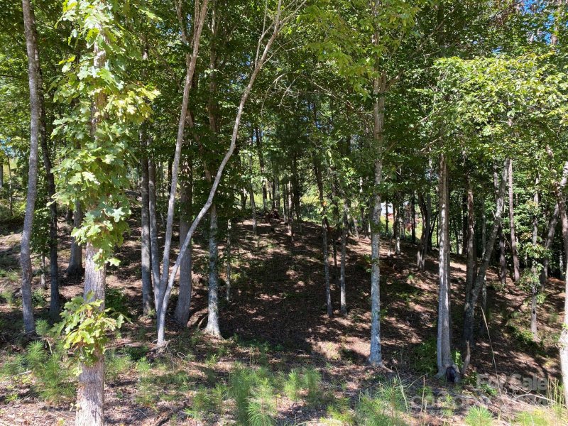 Property image 3 of Lot 93 Leeward Lane in The Waterfront Club, Granite Falls, NC 28630