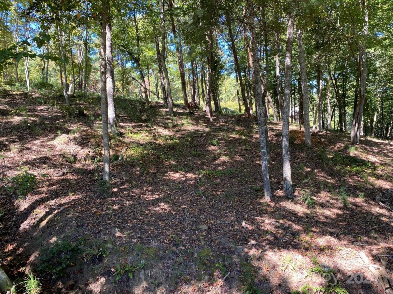 Property image 4 of Lot 93 Leeward Lane in The Waterfront Club, Granite Falls, NC 28630