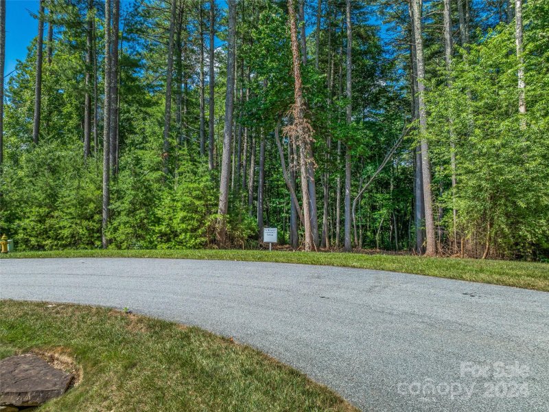 Property image 4 of 128 Mirehouse Run in Ramble Biltmore Forest, Asheville, NC 28803