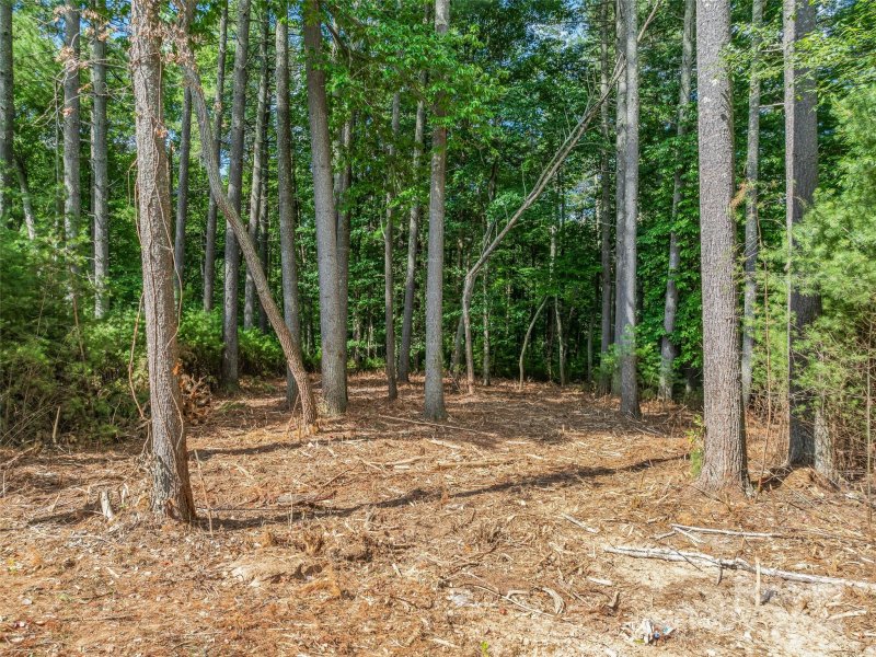 Property image 5 of 128 Mirehouse Run in Ramble Biltmore Forest, Asheville, NC 28803