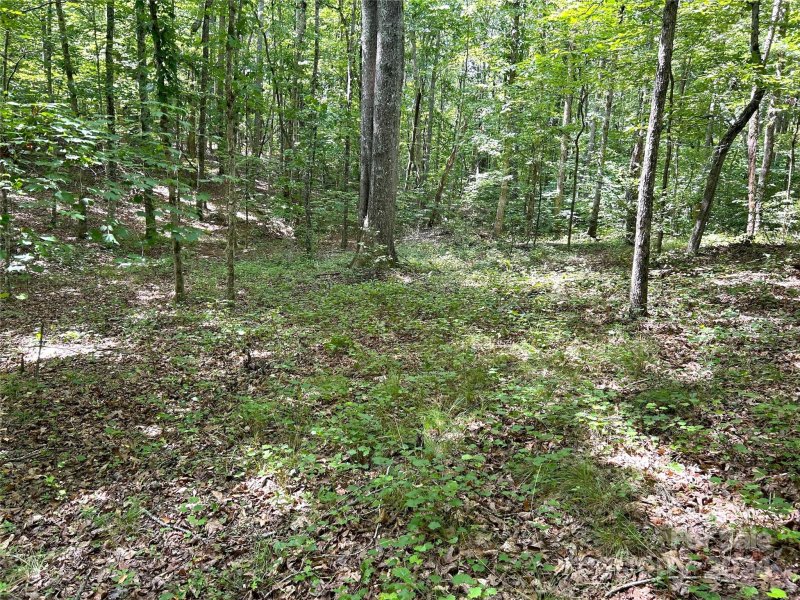 Property image 3 at 00 River Ridge Parkway, Rutherfordton, NC 28139