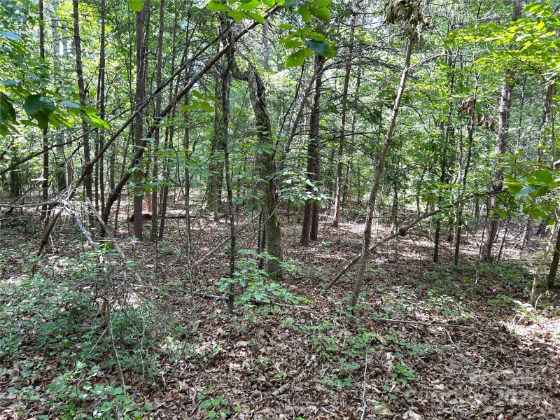 Property image 5 at 00 River Ridge Parkway, Rutherfordton, NC 28139