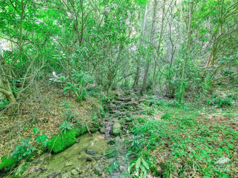 Property image 4 at 334 Rock House Cove Road, Clyde, NC 28721