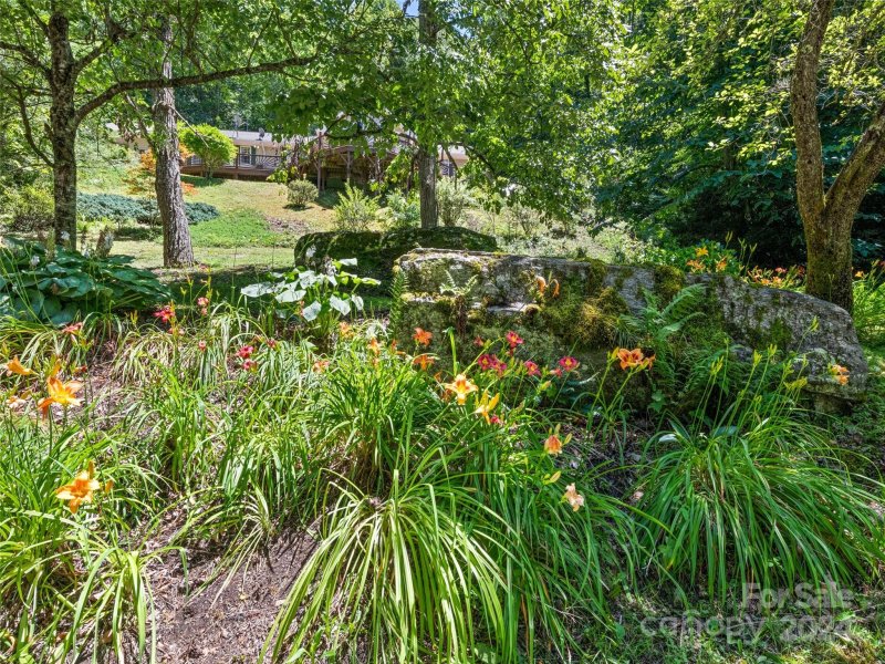 Property image 5 at 334 Rock House Cove Road, Clyde, NC 28721