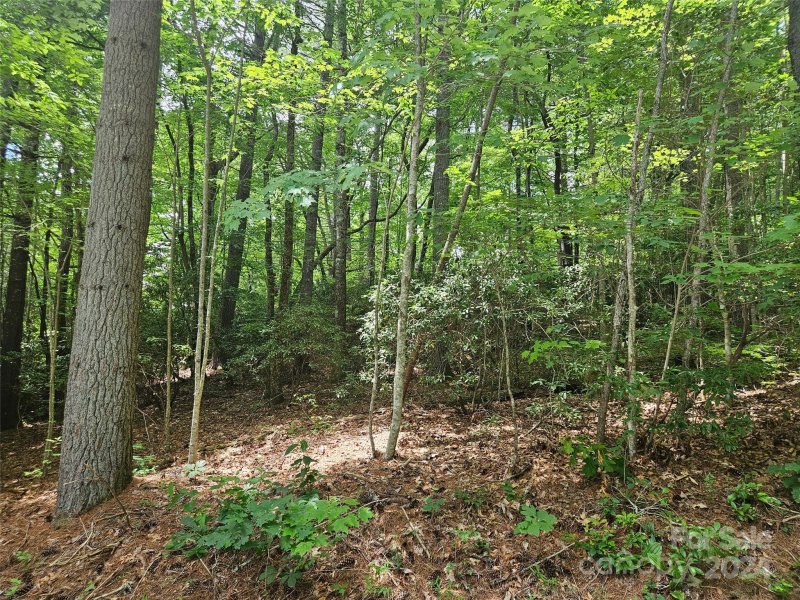 000 Hawk Mountain Road