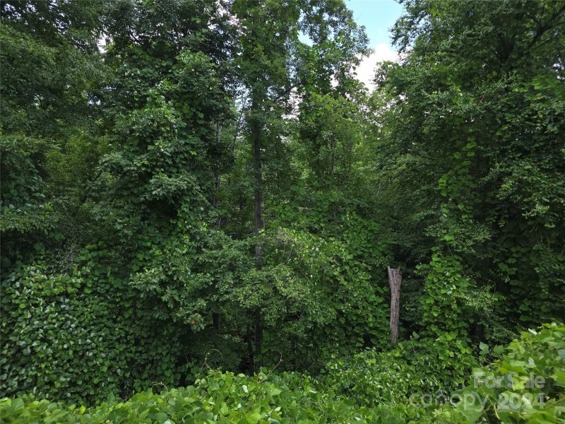 Property image 3 at 910 Morgan Hill Road, Black Mountain, NC 28711