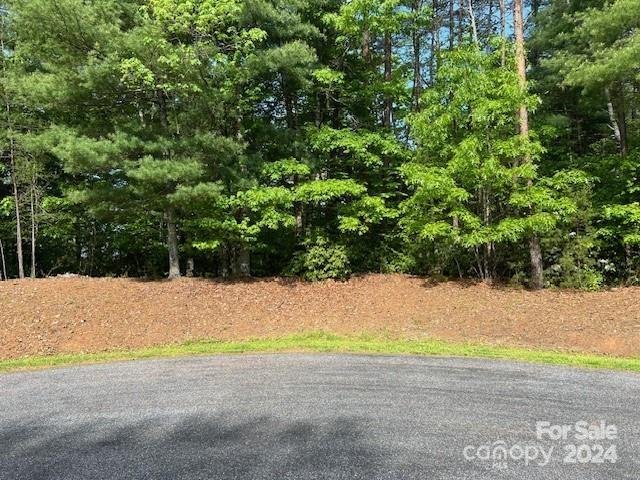 Property image 2 at 81 Captains Drive, Nebo, NC 28761