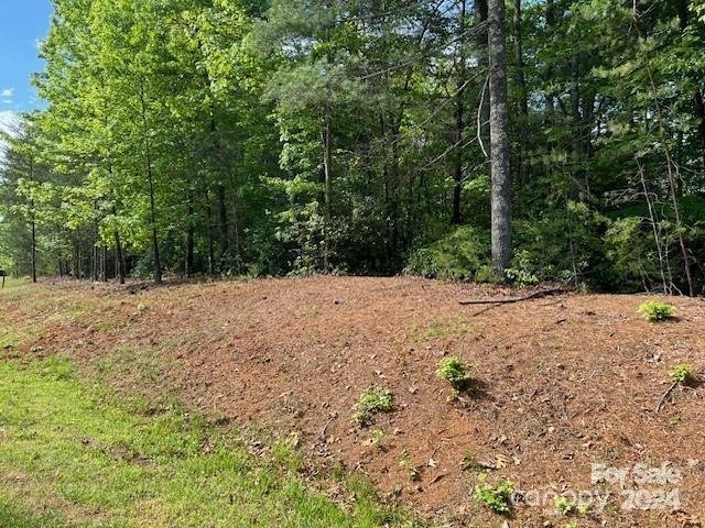 Property image 3 at 81 Captains Drive, Nebo, NC 28761