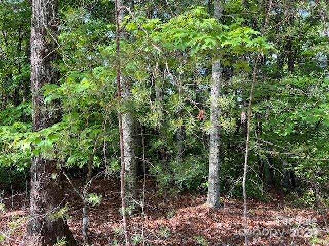 Property image 4 at 81 Captains Drive, Nebo, NC 28761