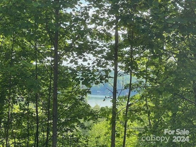 Property image 5 at 81 Captains Drive, Nebo, NC 28761