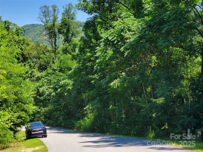 Property image 4 at 307 Summer Orchard Drive, Hendersonville, NC 28792