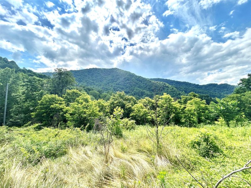 Property image 2 of 00 Split Pine Cove in Split Pine Estates, Clyde, NC 28721