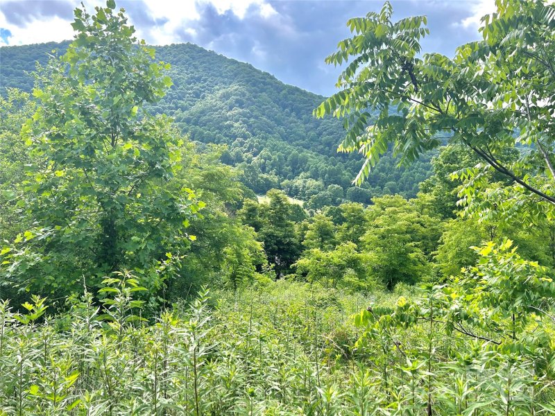 Property image 4 of 00 Split Pine Cove in Split Pine Estates, Clyde, NC 28721