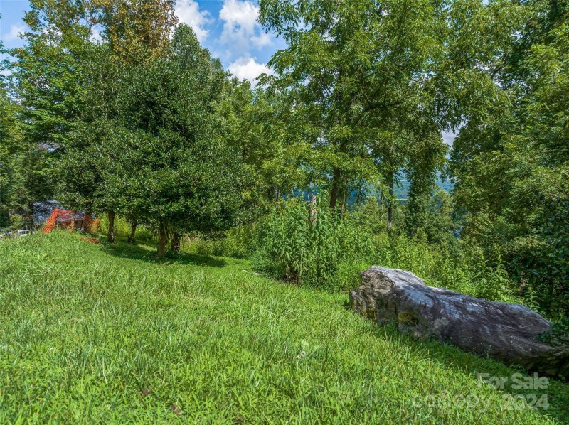 Property image 3 of 54 Split Rock Trail in The Cliffs At Walnut Cove, Arden, NC 28704