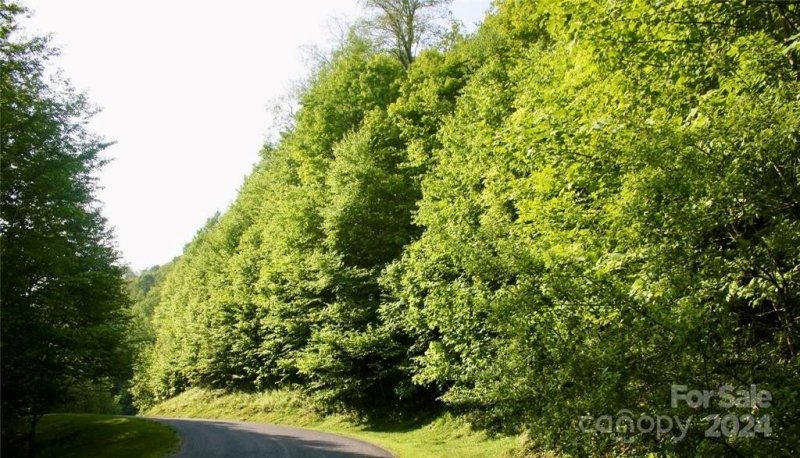 Property image 2 at 97 99 Goldenleaf Road, Mars Hill, NC 28754