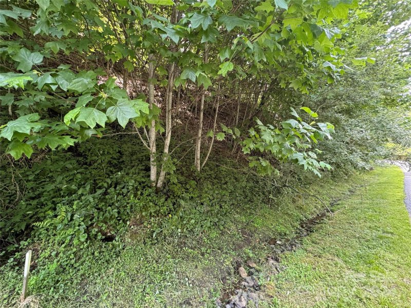 Property image 3 at 97 99 Goldenleaf Road, Mars Hill, NC 28754