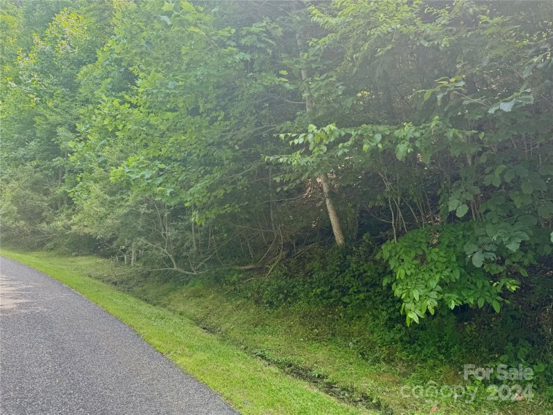 Property image 5 at 97 99 Goldenleaf Road, Mars Hill, NC 28754