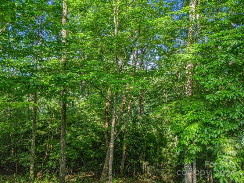 Property image 3 at 99999 Chimney Crest Drive, Asheville, NC 28806