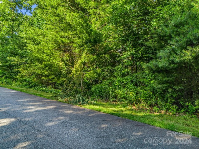 Property image 4 at 99999 Chimney Crest Drive, Asheville, NC 28806