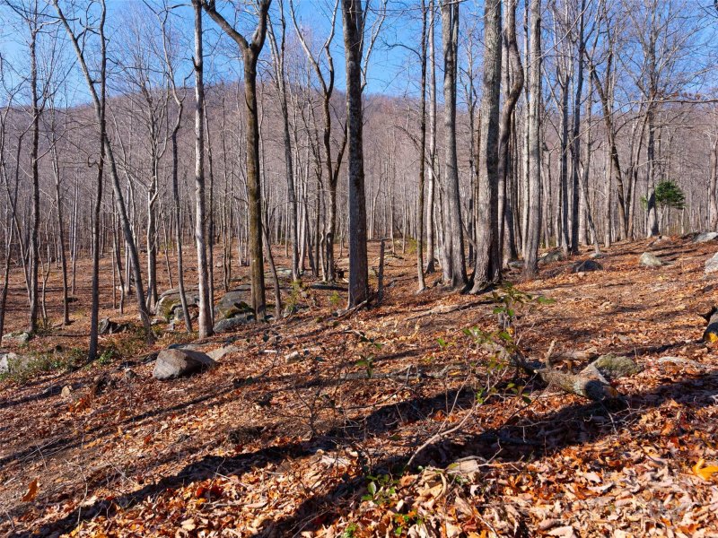 Property image 5 of 220 Chesterfield Drive in Brights Creek, Mill Spring, NC 28756