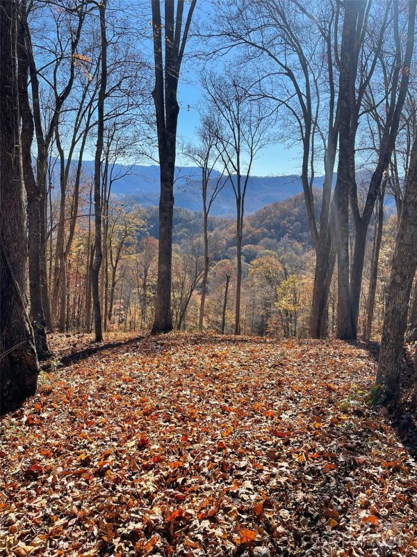 Property image 3 at 53 Sleepy Hollow Drive, Waynesville, NC 28785