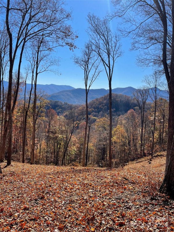 Property image 5 at 53 Sleepy Hollow Drive, Waynesville, NC 28785