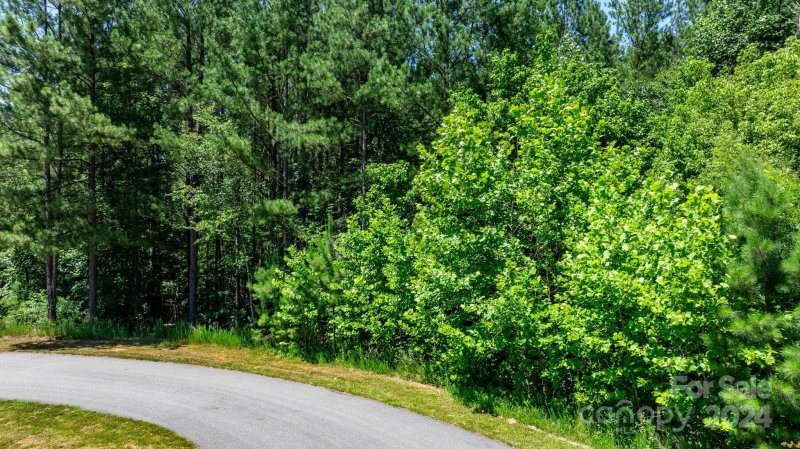 Property image 3 at V L Catawba Cove Drive, Valdese, NC 28690